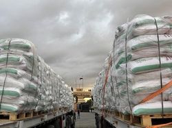 Perbatasan Gaza-Mesir di Rafah Bakal Dibuka Sebagian Hari Ini