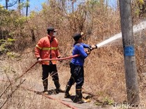 Dua Hektare Kebun Mangga-Jambu Mete di Karangasem Hangus Terbakar