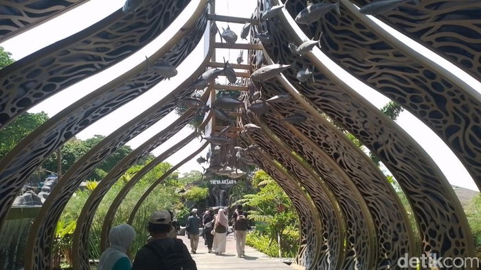 Lorong perut paus yang merupakan pintu masuk menjelajahi Marine Safari Bali
