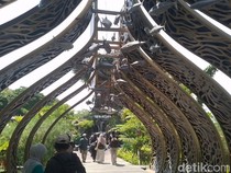 Mengenal Satwa dari Hutan Hujan Hingga Penghuni Laut Dalam di Marine Safari Bali