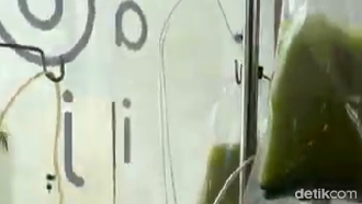 Viral Minuman 'Matcha Infus' di Bali, Pihak Kafe Buka Suara