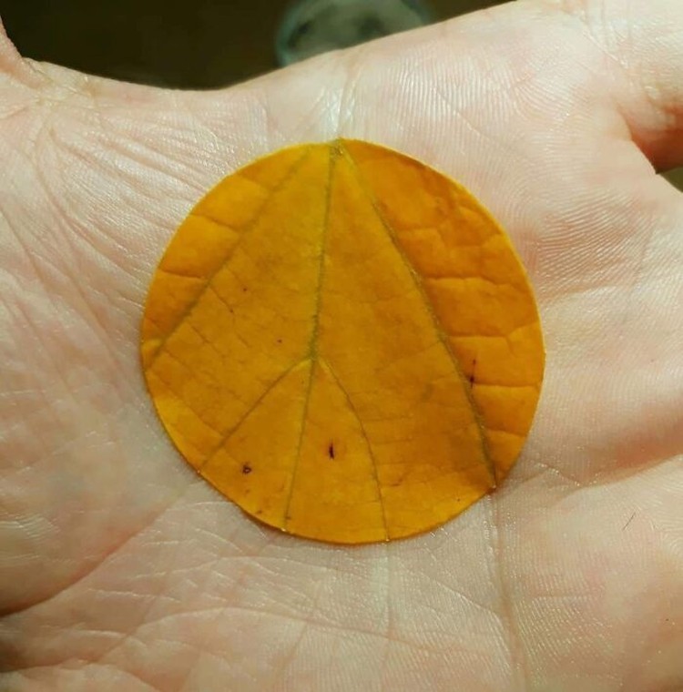 Berikut sejumlah foto yang pengambilan gambarnya terjadi bersamaan momen yang terduga. Hasilnya jadi bagus banget. Langkah sih ini.