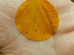 Momen Langka Tertangkap Kamera, Hasil Bagus dan Bukan Editan Photoshop