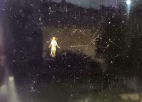 Berikut sejumlah foto yang pengambilan gambarnya terjadi bersamaan momen yang terduga. Hasilnya jadi bagus banget. Langkah sih ini.