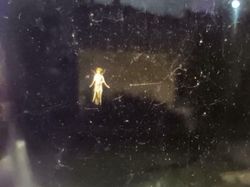 Momen Langka Tertangkap Kamera, Hasil Bagus dan Bukan Editan Photoshop