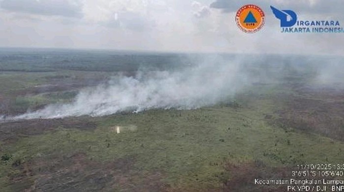 Karhutla terjadi di wilayah Kabupaten Ogan Komering ilir (OKI), Sumatera Selatan