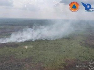 3 Wilayah OKI Terbakar, Luas Karhutla 11 Hektare