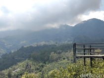 Ini Dia Tempat Ngopi Hidden Gem dengan View Megah Gunung Catur
