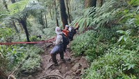 Pendaki 84 Tahun Hilang di Gunung Batukaru, Berakhir Tewas di Jurang
