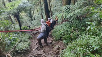 Pendaki 84 Tahun Hilang di Gunung Batukaru, Berakhir Tewas di Jurang