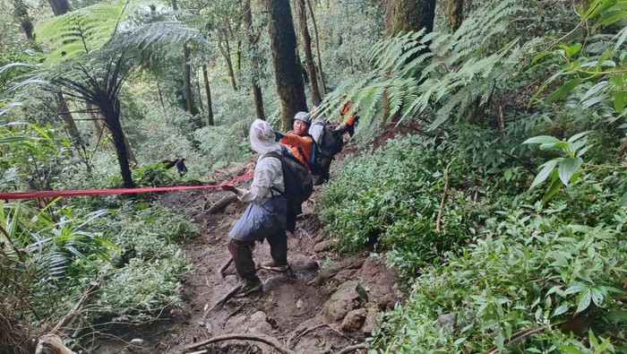 Proses evakuasi lima pendaki yang kelelahan di Gunung Batukaru, Kecamatan Tabanan, Minggu (12/10/2025). /Istimewa