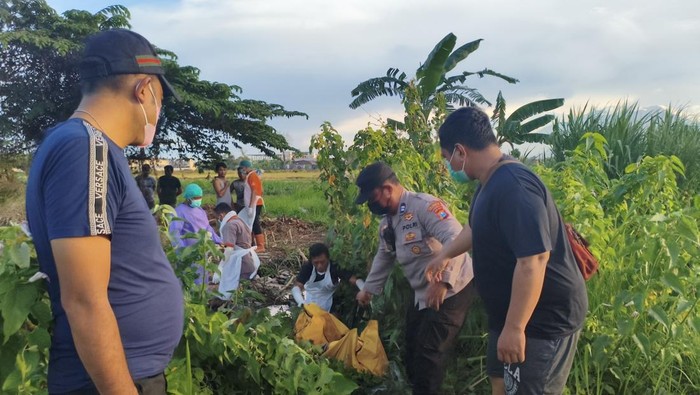 Petugas mengevakuasi mayat yang ditemukan di irigasi sawah Desa Sungon, Sidoarjo