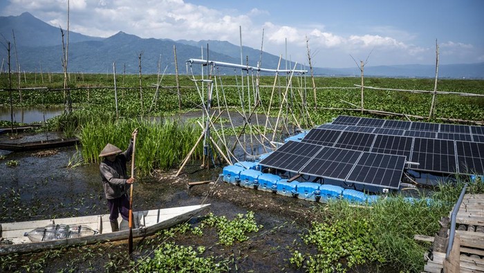 Petani menggunakan perahunya melintas di dekat panel surya yang terpasang di Pembangkit Listrik Tenaga Surya (PLTS) Terapung Rawa Pening, Desa Kesongo, Tuntang, Kabupaten Semarang, Jawa Tengah, Minggu (12/10/2025). Pemerintah Desa Kesongo bersama Politeknik Negeri Semarang (Polines) melalui program Smart Farming berbasis PLTS Terapung Rawa Pening mengembangkan sistem pengairan cerdas berbasis energi surya berkapasitas 20 kWp yang memanfaatkan rangkaian Pompa Air Tenaga Surya (PATS) untuk mengairi sekitar 10 - 15 hektare lahan pertanian sehingga menjadi solusi berkelanjutan bagi petani, terutama saat musim kemarau ketika permukaan air di Danau Rawa Pening mulai surut. ANTARA FOTO/Aprillio Akbar/agr