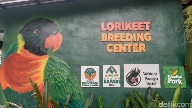 Taman Safari Indonesia bukan sekadar tempat rekreasi tapi juga jadi tempat edukasi sekaligus tempat konservasi