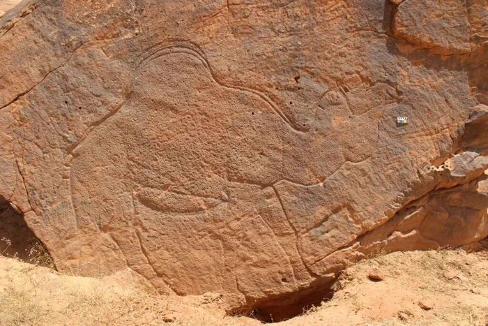 Ukiran batu dari 12.000 tahun lalu di Gurun Nafud, Arab Saudi.