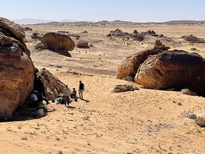 Ukiran batu dari 12.000 tahun lalu di Gurun Nafud, Arab Saudi.