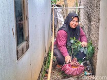 Warga Baleendah Kaget, Pekarangan Rumahnya Ditumbuhi Bunga Bangkai