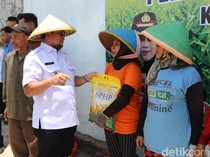 Jurus Pemkab Cirebon Dorong Ketahanan Pangan Lewat Jagung Pipil