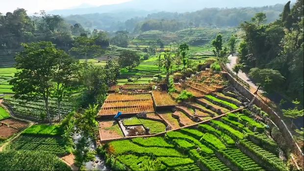 Daya Tarik Desa Wisata Sumberdodol