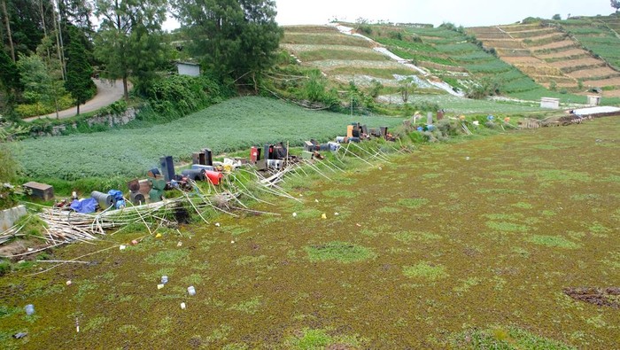 Sejumlah mesin penyedot air di tepi Telaga Merdada yang dipenuhi enceng gondok di Dataran Tinggi Dieng, Desa Karangtengah, Batur, Banjarnegara, Jawa Tengah, Minggu (12/10/2025). Telaga seluas 22 hektare yang merupakan lokasi wisata sekaligus tempat menampung air hujan tersebut kini dipenuhi enceng gondok yang mengganggu pemandangan dan menyebabkan petani kesulitan menyedot air untuk menyiram tanaman. ANTARA FOTO/Anis Efizudin/tom.