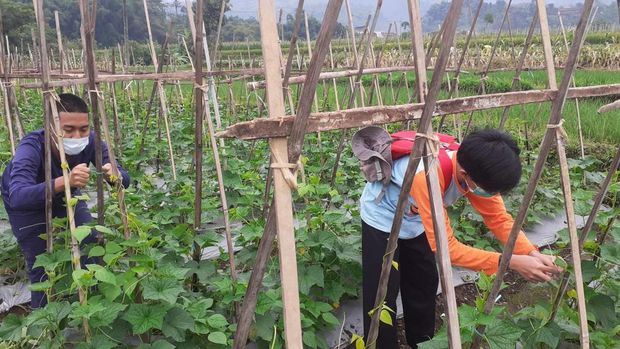 Kampung Wisata Sidomukti Magetan