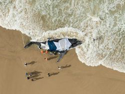 Karya Memukau Pemenang Kompetisi Foto Laut 2025, Ada di Indonesia