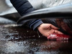 Karya Memukau Pemenang Kompetisi Foto Laut 2025, Ada di Indonesia