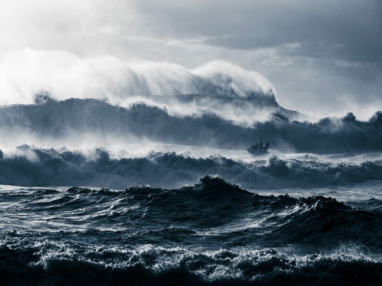 Ocean Photographer of the Year 2025