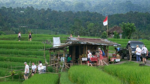 Wisatawan mancanegara berkeliling di persawahan saat berkunjung di Desa Jatiluwih, Tabanan, Bali, Senin (13/10/2025). Pemerintah melalui Kementerian Keuangan telah mencairkan Rp647,07 miliar atau 96,98 persen dari total pagu Rp667,2 miliar dana desa di Bali hingga Agustus 2025 untuk mendukung percepatan pertumbuhan ekonomi daerah. ANTARA FOTO/Nyoman Hendra Wibowo