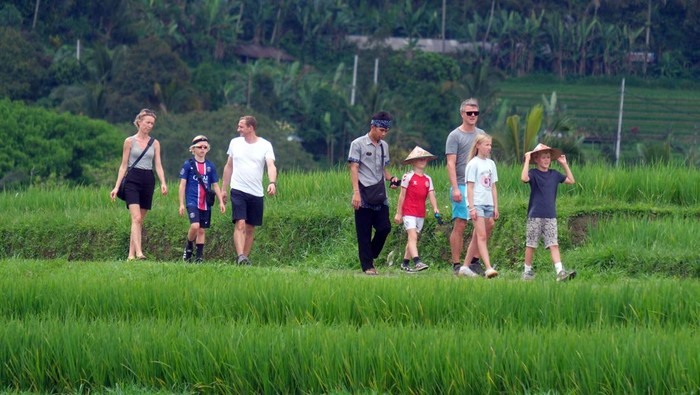 Pemerintah Cairkan Dana Desa Rp647 Miliar di Bali, Dukung Ekonomi dan Pariwisata Lokal Wisatawan mancanegara berkeliling di persawahan saat berkunjung di Desa Jatiluwih, Tabanan, Bali, Senin (13/10/2025). Pemerintah melalui Kementerian Keuangan telah mencairkan Rp647,07 miliar atau 96,98 persen dari total pagu Rp667,2 miliar dana desa di Bali hingga Agustus 2025 untuk mendukung percepatan pertumbuhan ekonomi daerah. ANTARA FOTO/Nyoman Hendra Wibowo