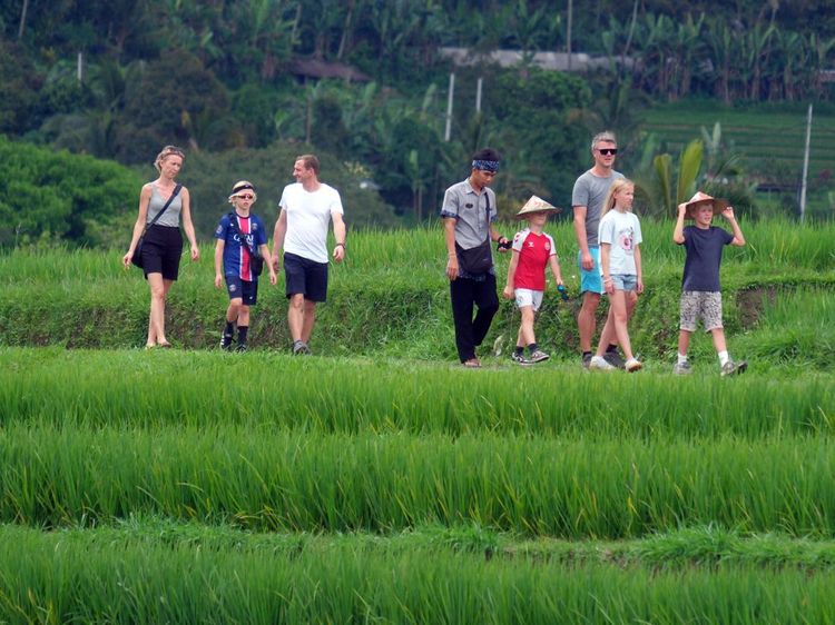 Pemerintah Cairkan Dana Desa Rp647 Miliar di Bali, Dukung Ekonomi dan Pariwisata Lokal