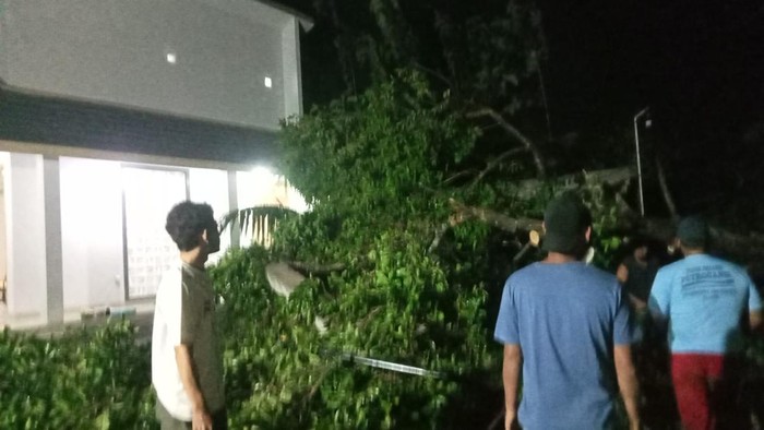 Penanganan pohon tumbang di Kecamatan Trucuk, Klaten, Senin  (13/10/2025) malam.