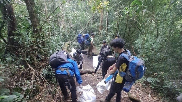Petugas dan relawan membersihkan sampah di jalur pendakian Simpang Gondrong–Selabintana, kawasan Taman Nasional Gunung Gede Pangrango