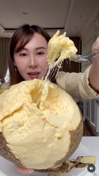 Sibungbung makan sukun matang bertekstur lembut mirip es krim