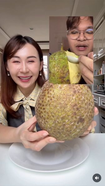 Sibungbung makan sukun matang bertekstur lembut mirip es krim