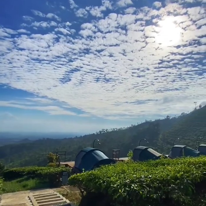 Agrowisata Jamus Ngawi Malang Agrowisata Jamus Ngawi Malang