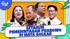 Video: Setahun Pemerintahan Prabowo di Mata Golkar