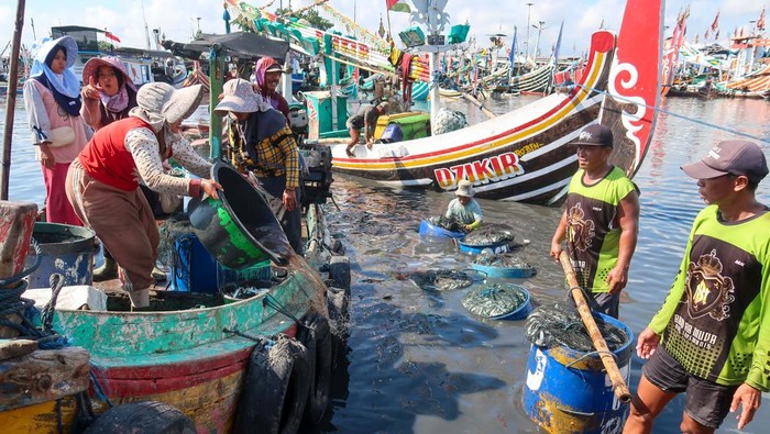 Harga Ikan Tak Menentu, Nelayan Desak Pemerintah Bentuk Bulog Ikan Nelayan membongkar ikan hasil tangkapan dari perahunya di Tempat Pelelangan Ikan (TPI) Pelabuhan Muncar, Banyuwangi, Jawa Timur, Selasa (14/10/2025). Kesatuan Nelayan Tradisional Indonesia (KNTI) mendorong pemerintah membentuk instrumen stabilisasi harga seperti Bulog pada komoditas pangan pokok guna melindungi nelayan dari fluktuasi harga ikan yang cenderung rendah akibat lemahnya posisi tawar nelayan kecil. ANTARA FOTO/Budi Candra Setya