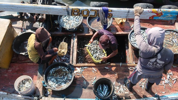 Harga Ikan Tak Menentu, Nelayan Desak Pemerintah Bentuk Bulog Ikan Nelayan membongkar ikan hasil tangkapan dari perahunya di Tempat Pelelangan Ikan (TPI) Pelabuhan Muncar, Banyuwangi, Jawa Timur, Selasa (14/10/2025). Kesatuan Nelayan Tradisional Indonesia (KNTI) mendorong pemerintah membentuk instrumen stabilisasi harga seperti Bulog pada komoditas pangan pokok guna melindungi nelayan dari fluktuasi harga ikan yang cenderung rendah akibat lemahnya posisi tawar nelayan kecil. ANTARA FOTO/Budi Candra Setya
