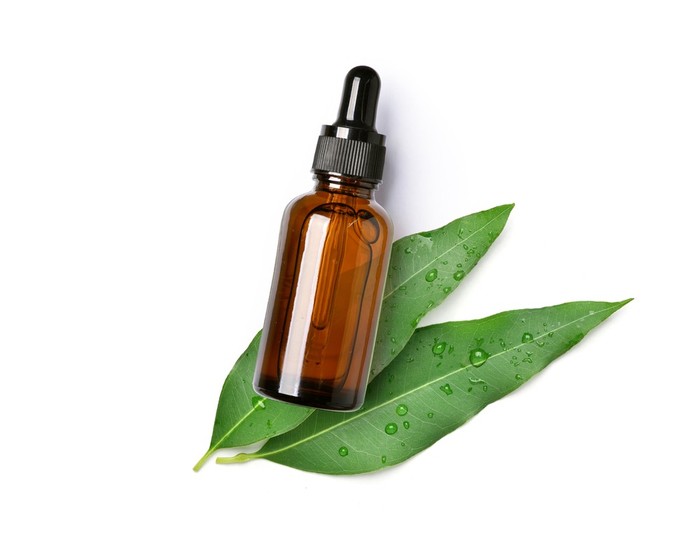 Multiguna, Ini 5 Manfaat Minyak Kayu Putih untuk Sehari-hari