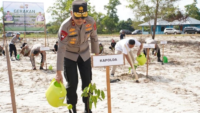 Polda Bangka Belitung (Babel) terus melakukan penanaman satu juta pohon di lahan kritis bekas pertambang timah.