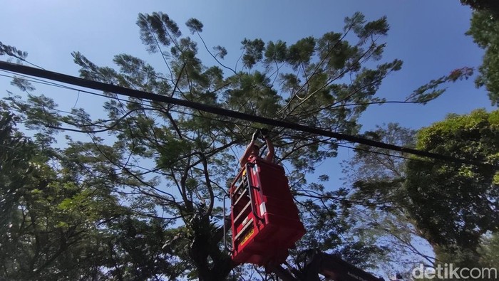Penataan kabel di Kota Bogor
