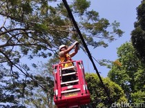 Kabel Semrawut, DPRD Kota Bogor Ingatkan Ancam Keselamatan Warga