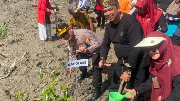 Ribuan pohon mangrove ditanam di Tebing Tinggi, Kepulauan Meranti untuk menyelamatkan pulau dari ancaman abrasi. Ribuan pohon mangrove ditanam di Tebing Tinggi, Kepulauan Meranti untuk menyelamatkan pulau dari ancaman abrasi.
