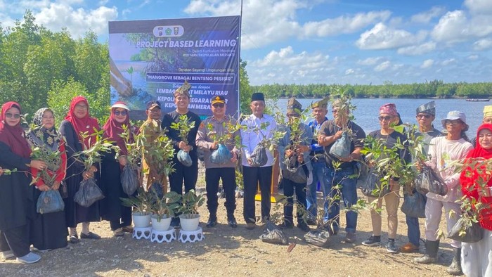 Ribuan pohon mangrove ditanam di Tebing Tinggi, Kepulauan Meranti untuk menyelamatkan pulau dari ancaman abrasi.