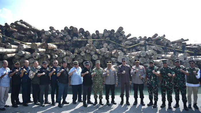Satgas PKH Bongkar Kasus Ilegal Logging Rp 240 Miliar di Gresik