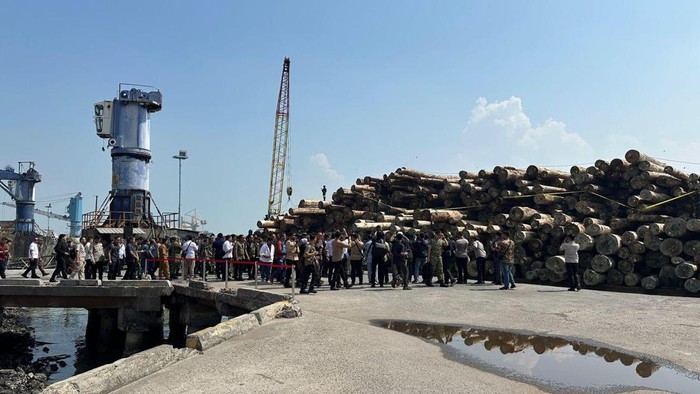 Satgas PKH membongkar kasus illegal logging di Hutan Sipora, Mentawai. Sebanyak 4.610 meter kubik kayu meranti disita. Kasus ini merugikan negara Rp 239 miliar. (dok Istimewa)