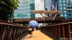 Suhu Panas Menggila, BMKG Bongkar Faktor Utamanya