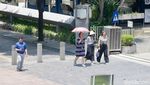 Suhu Panas Menggila, BMKG Bongkar Faktor Utamanya