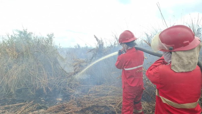 Tim Manggala Agni memadamkan karhutla di Rambai OKI.